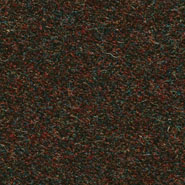 Flora 2_697  Kvadrat